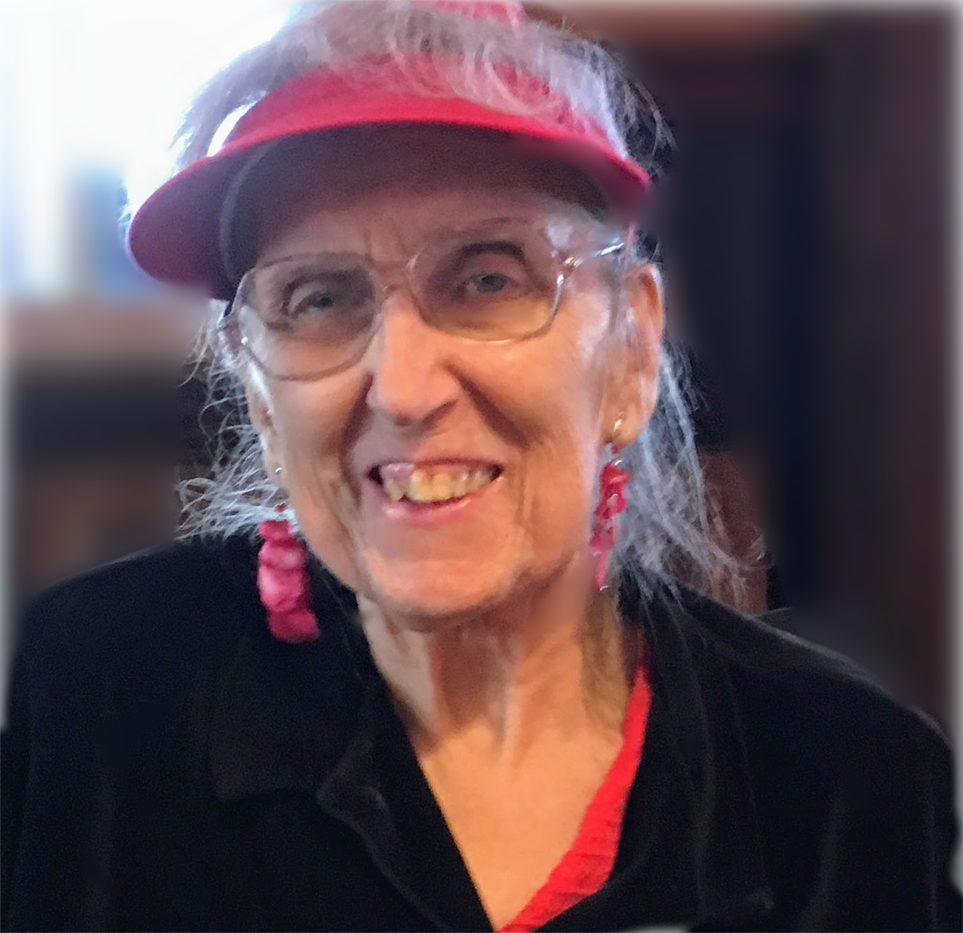 Bertha Joanne Vreeman MKD Stegenga Funeral Chapel