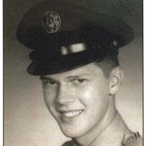 William Stegehuis  Jr.