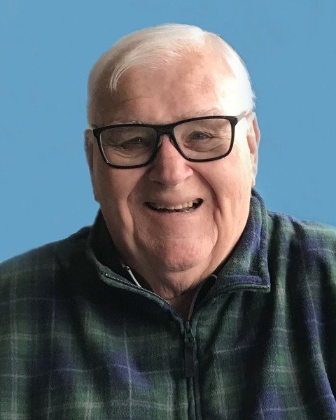 Harry Blauwiekel