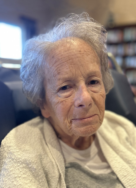 Susan Klein Obituary, Wyoming, MI