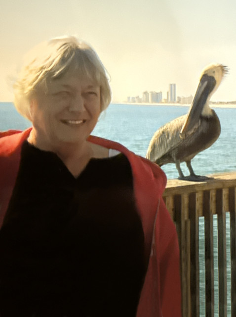 Joyce VanderroestSteffens Obituary, Kentwood, MI