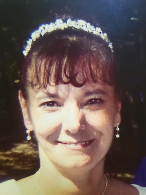 Darla Veneklase