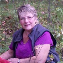 Mrs.  Diane VanderWall
